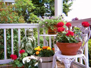 800px-Container_garden_on_front_porch
